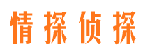 抚远市侦探公司